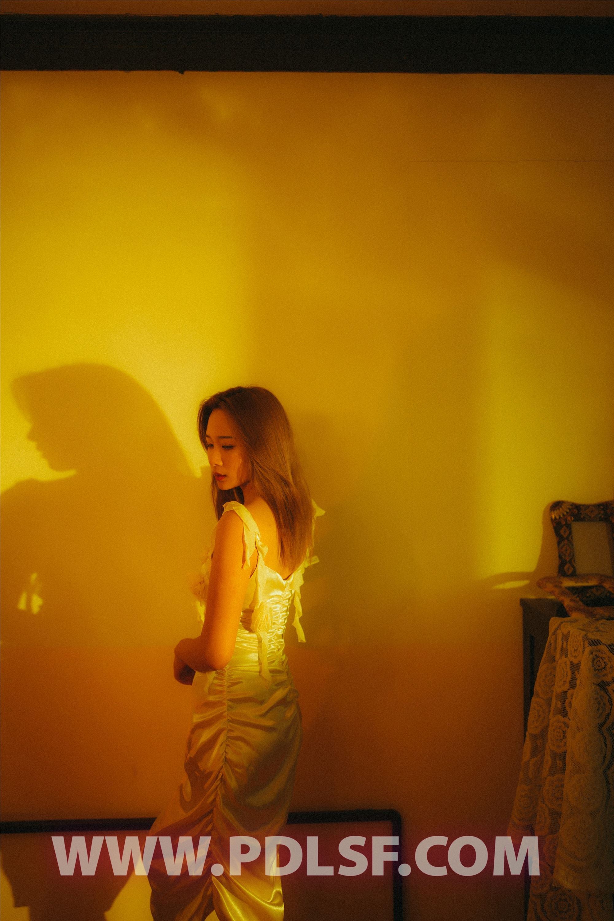 PDL潘多拉 2020.04.15 专辑No.286